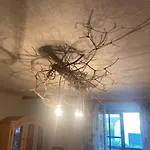 Holiday home 69