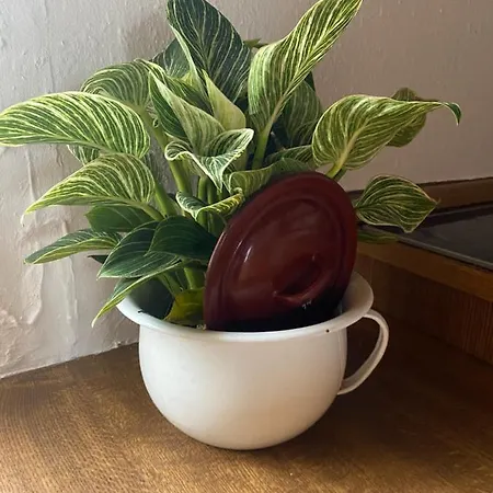 Дом отдыха 69 *